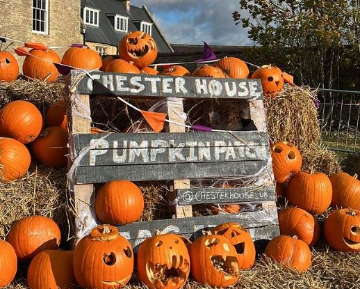 Cobblers kick off Chester House Estate partnership with a spooky-style ...