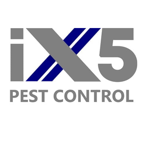 Logo for iX5 Pest Control with large grey letters iX5. The X has two diagonal blue stripes. PEST CONTROL is written below in grey capital letters on a white background.